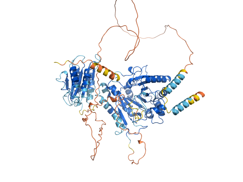 AlphaFold predicted structure of TYW1