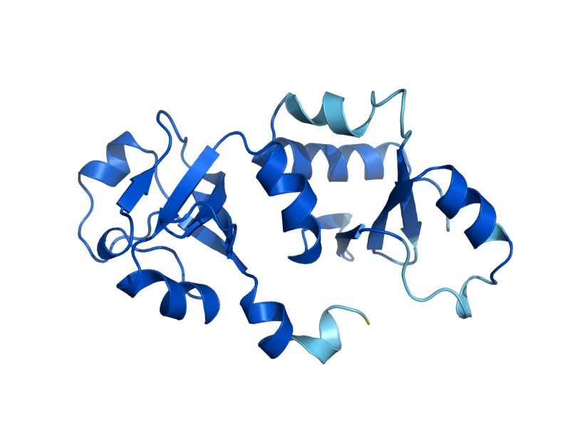 AlphaFold predicted structure of NIP7