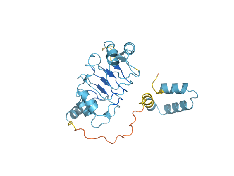 AlphaFold predicted structure of LEA1
