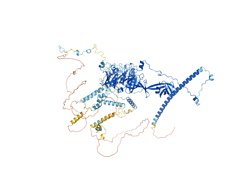 AlphaFold predicted structure of BMS1
