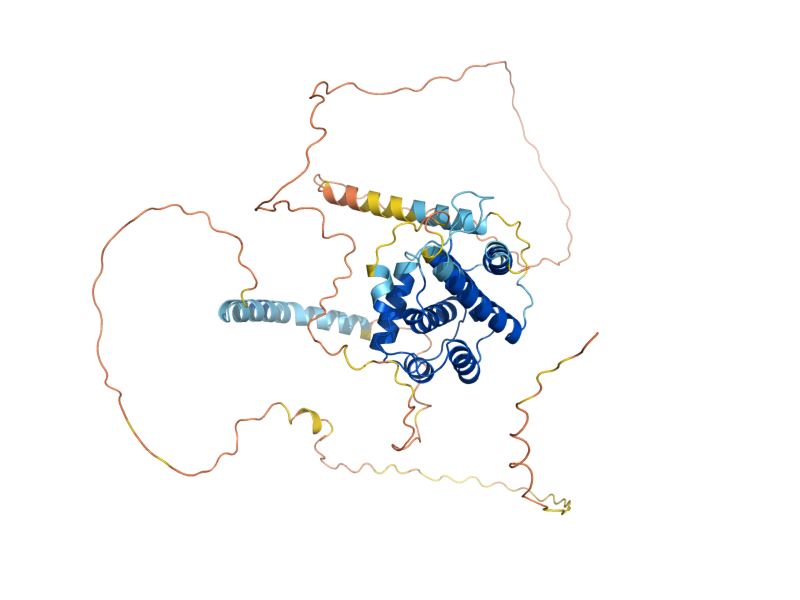AlphaFold predicted structure of PCL8