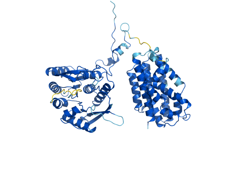 AlphaFold predicted structure of THI21
