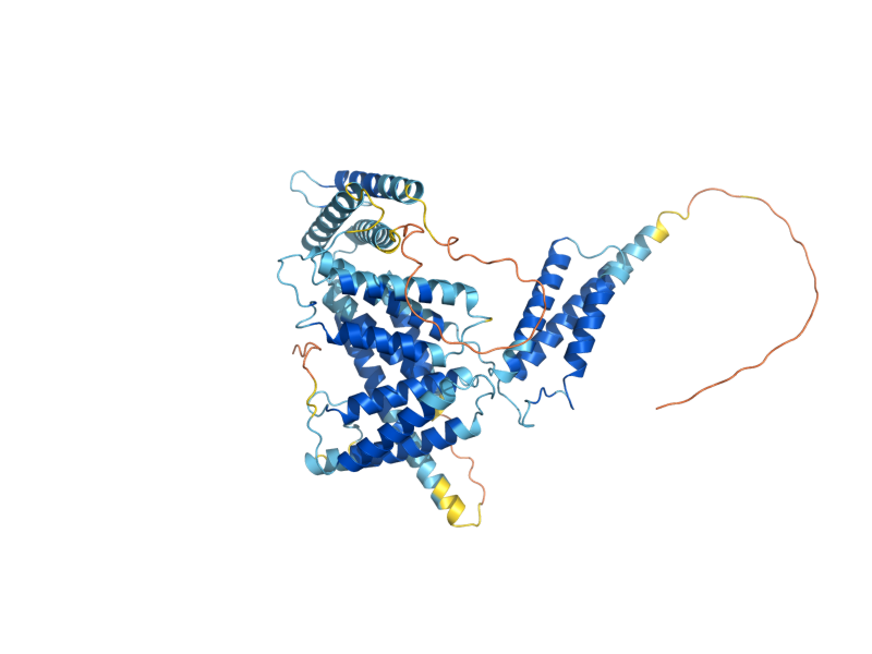 AlphaFold predicted structure of CUB1