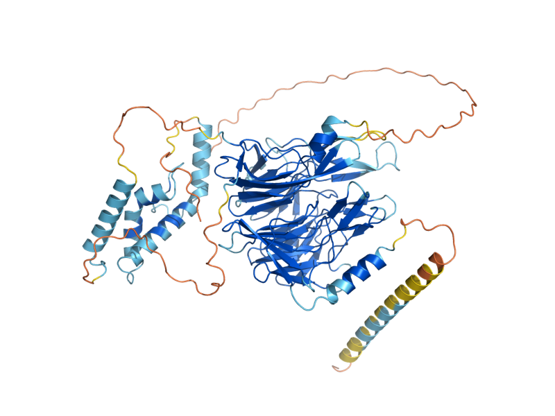 AlphaFold predicted structure of KEL3