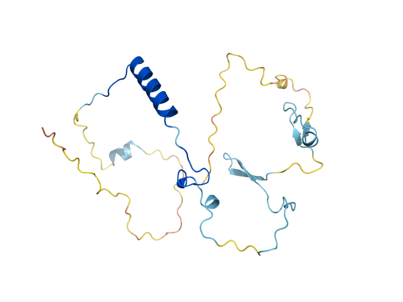 AlphaFold predicted structure of ACM1