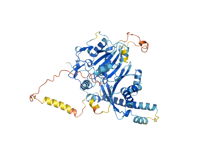 AlphaFold predicted structure of PBI1