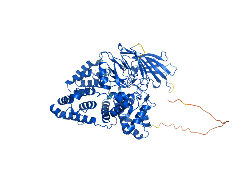 AlphaFold predicted structure of LAP2