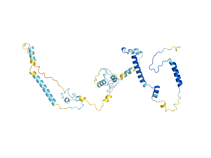 AlphaFold predicted structure of TMA46