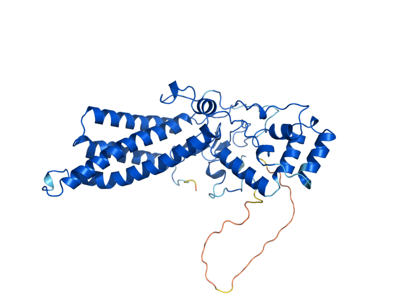 AlphaFold predicted structure of PFA4