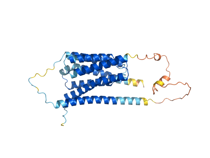AlphaFold predicted structure of YPQ1