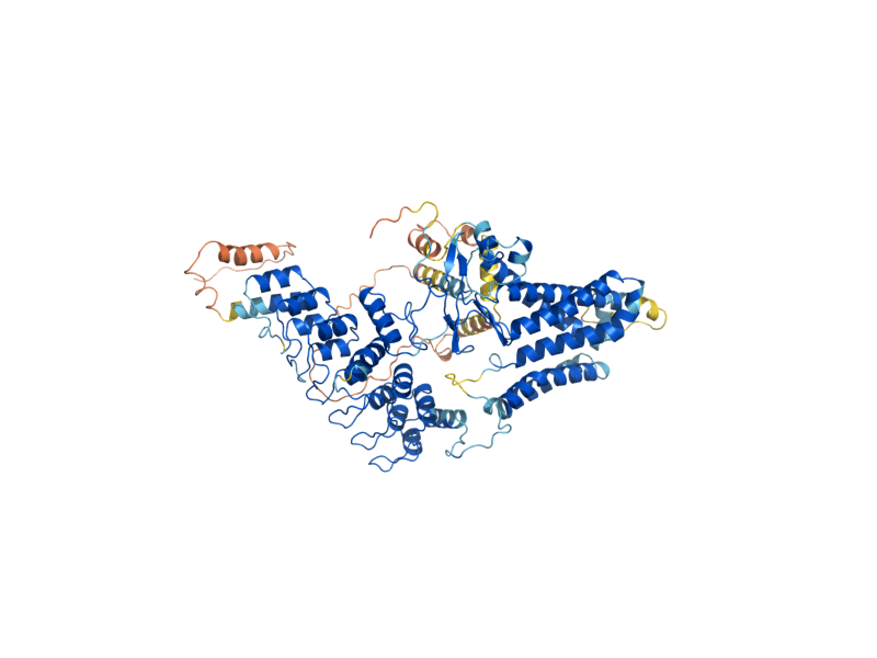 AlphaFold predicted structure of AKR2