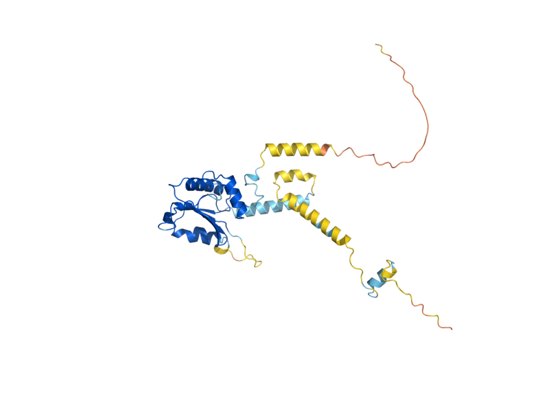 AlphaFold predicted structure of PLP2