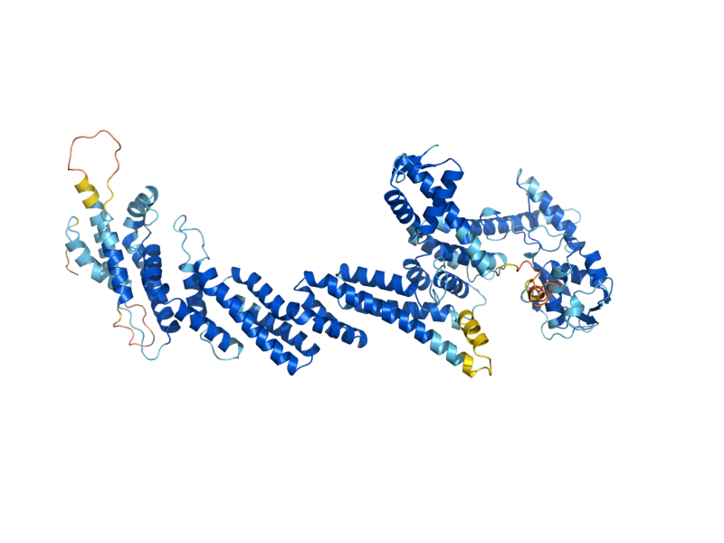 AlphaFold predicted structure of CDC53