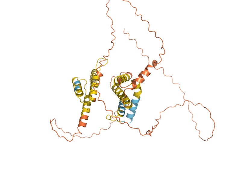 AlphaFold predicted structure of SRL2