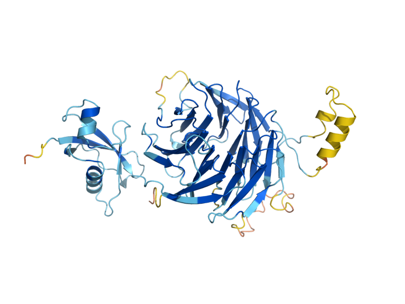 AlphaFold predicted structure of YTM1