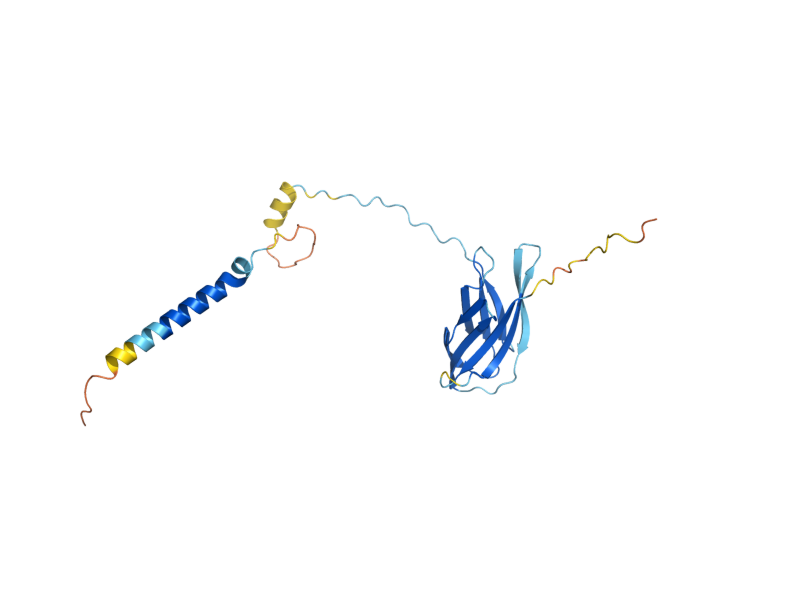 AlphaFold predicted structure of EMC10