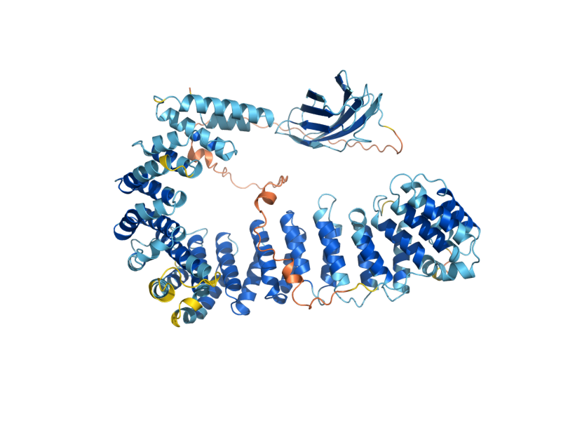 AlphaFold predicted structure of APL4