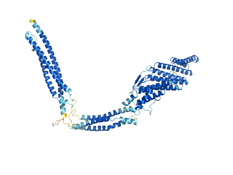 AlphaFold predicted structure of RIM20