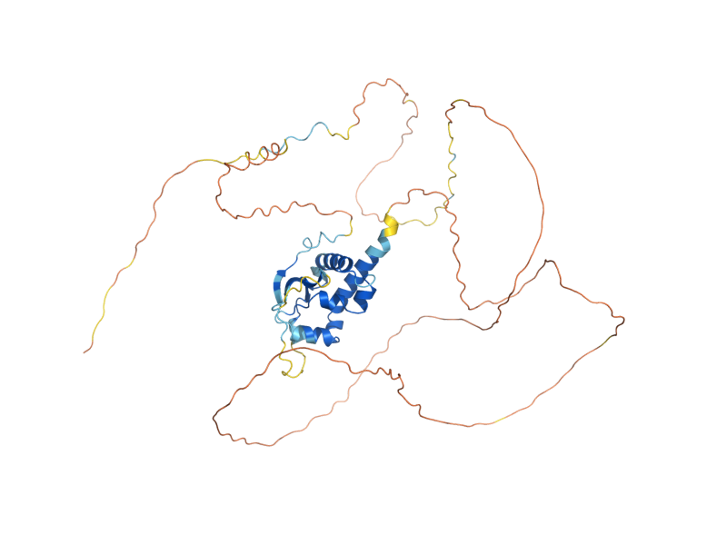 AlphaFold predicted structure of SLF1