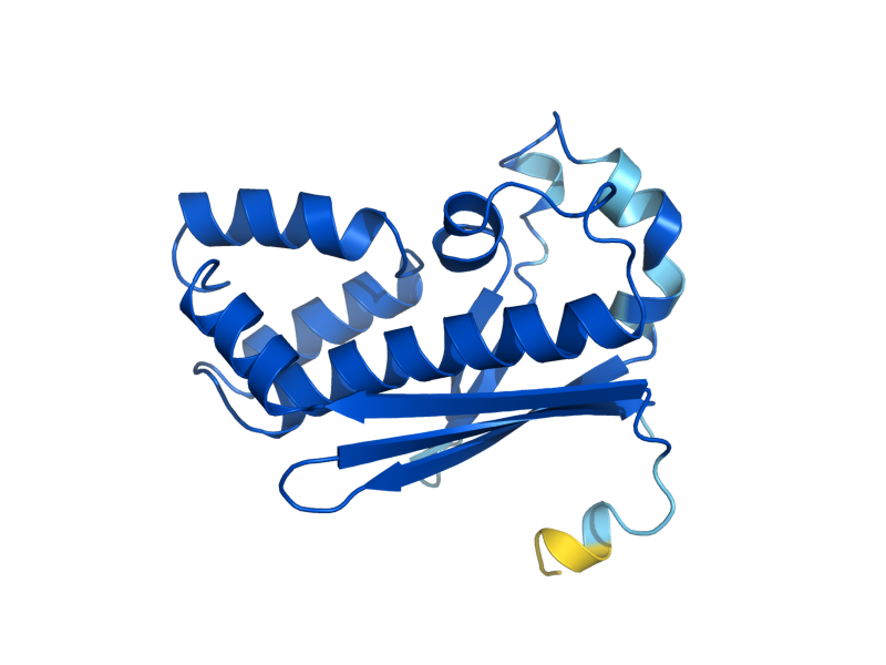 AlphaFold predicted structure of PPT2