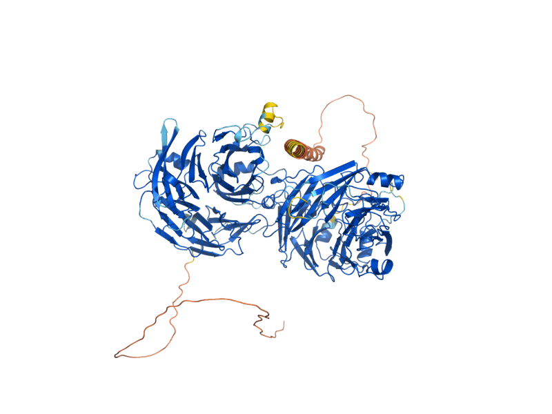 AlphaFold predicted structure of SRO7