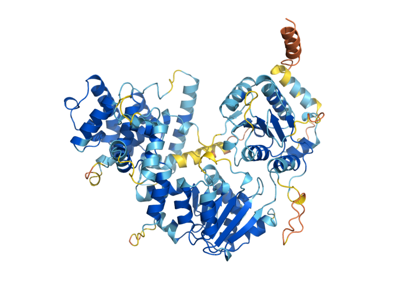 AlphaFold predicted structure of HMI1