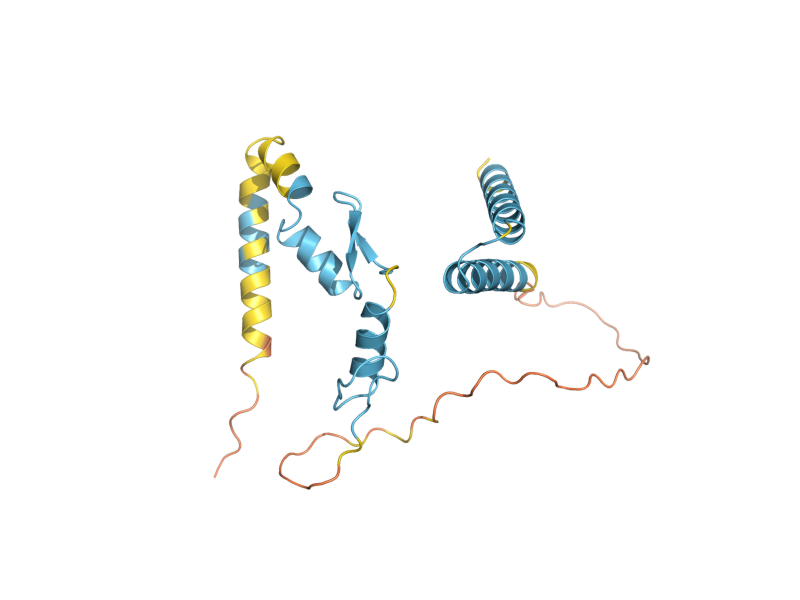 AlphaFold predicted structure of MET32