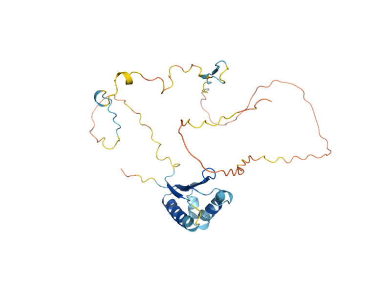 AlphaFold predicted structure of RCN2