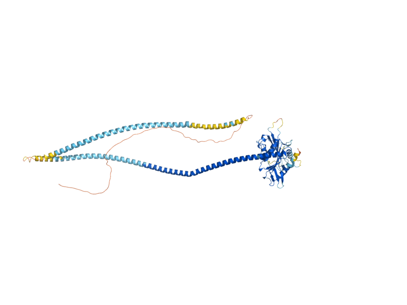 AlphaFold predicted structure of VIK1