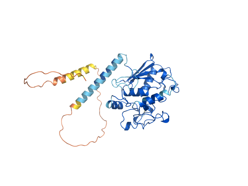 AlphaFold predicted structure of CWC2