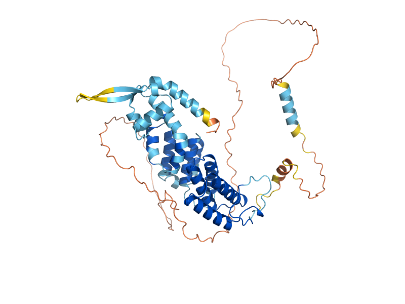 AlphaFold predicted structure of THP3