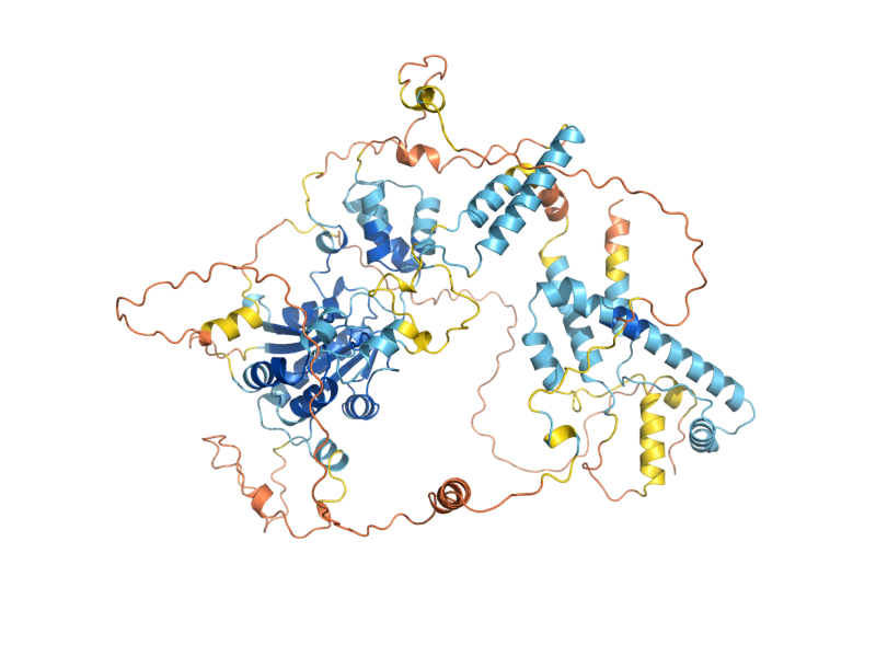 AlphaFold predicted structure of ELG1