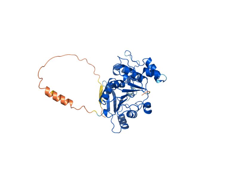 AlphaFold predicted structure of TGS1