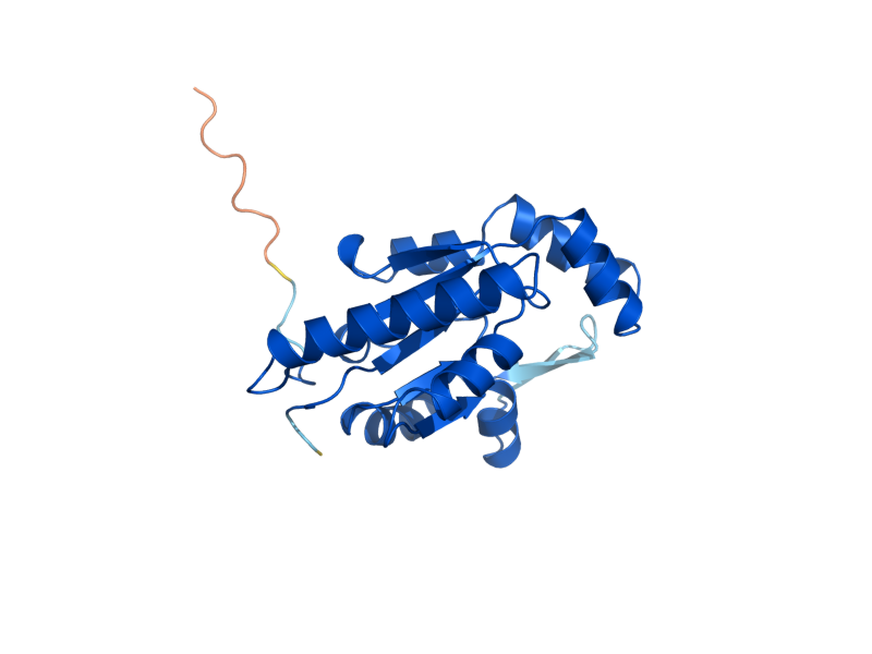 AlphaFold predicted structure of FAP7