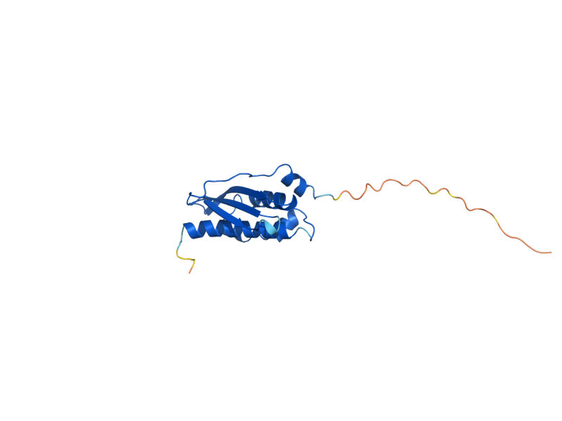 AlphaFold predicted structure of ISU2