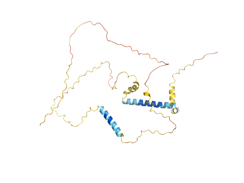 AlphaFold predicted structure of PIN2