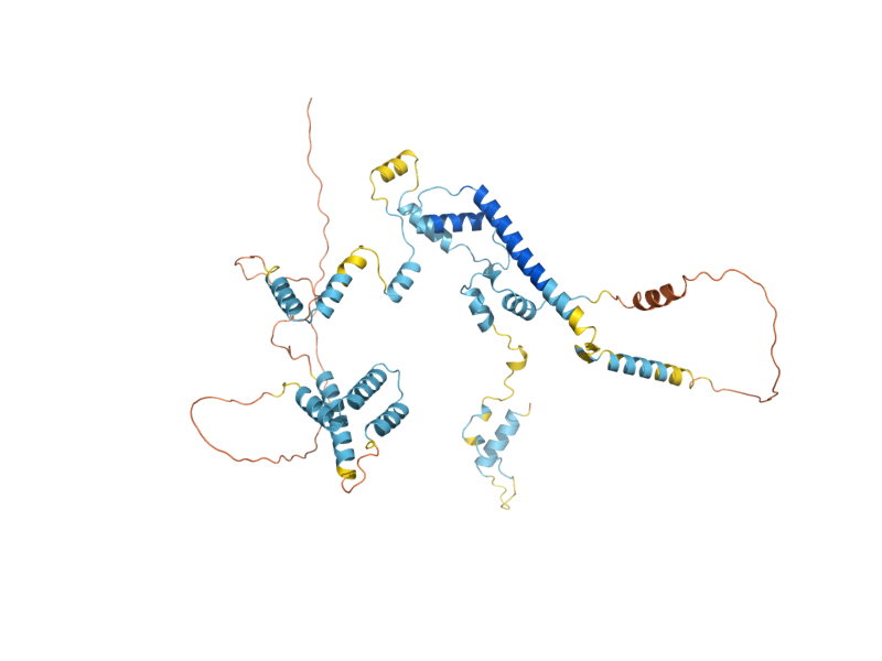 AlphaFold predicted structure of HFI1