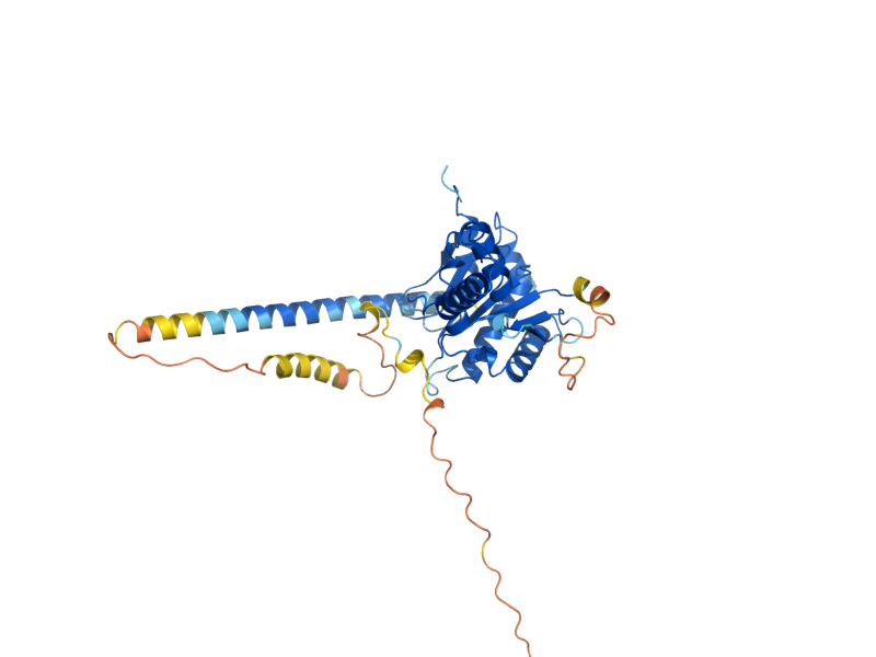AlphaFold predicted structure of NUS1