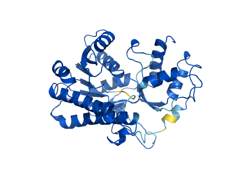 AlphaFold predicted structure of GRE2