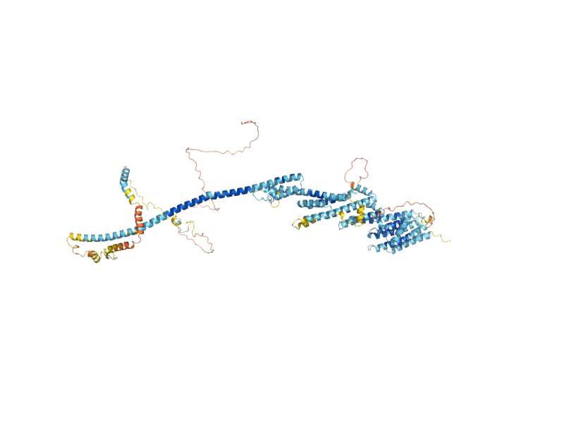 AlphaFold predicted structure of VPS54