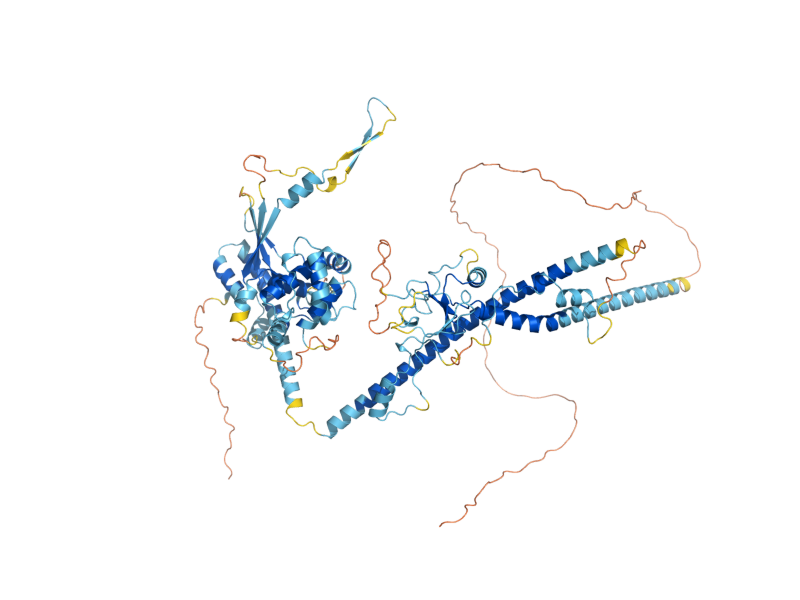 AlphaFold predicted structure of IOC2