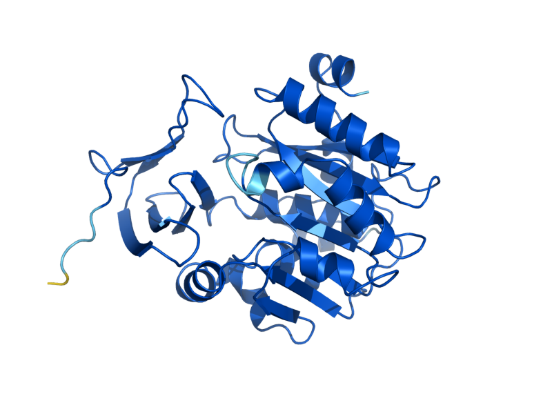 AlphaFold predicted structure of SPE3