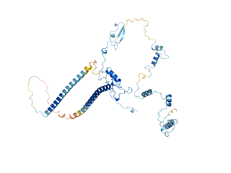 AlphaFold predicted structure of NOP53