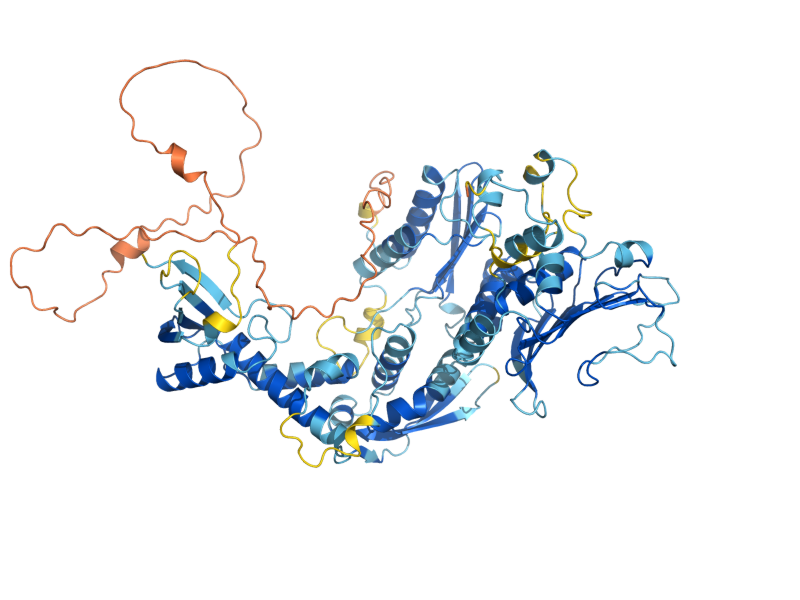 AlphaFold predicted structure of MLH3