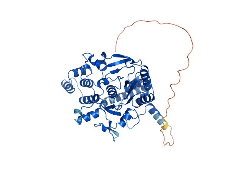 AlphaFold predicted structure of DIN7