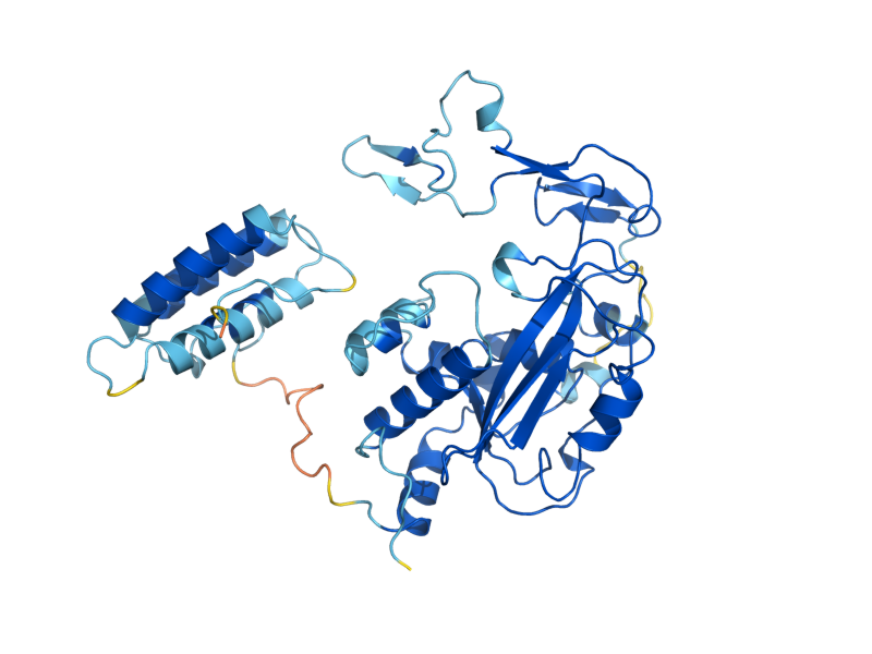 AlphaFold predicted structure of REX3