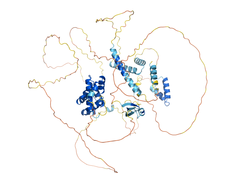 AlphaFold predicted structure of SLX4