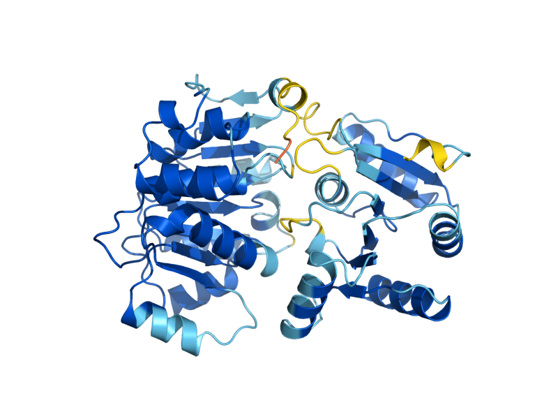 AlphaFold predicted structure of FAL1