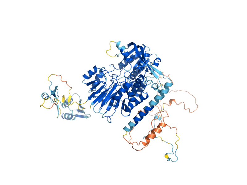 AlphaFold predicted structure of CFT2