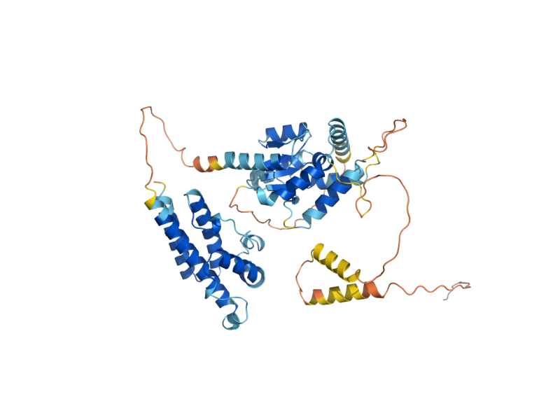 AlphaFold predicted structure of SWT1